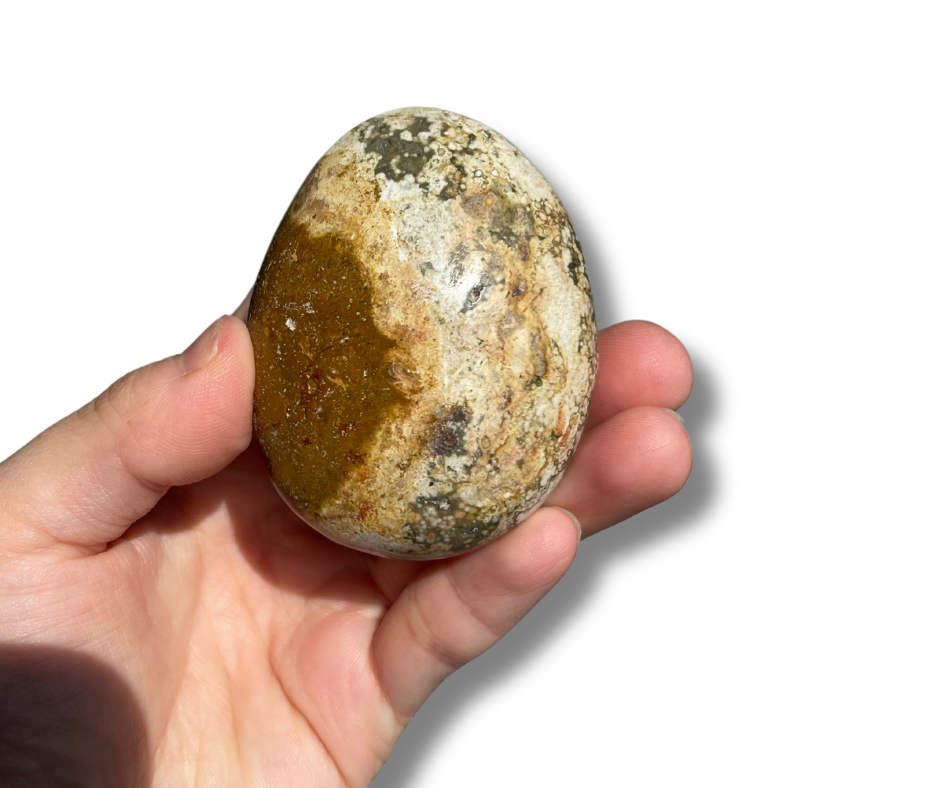 Sea Jasper Palm