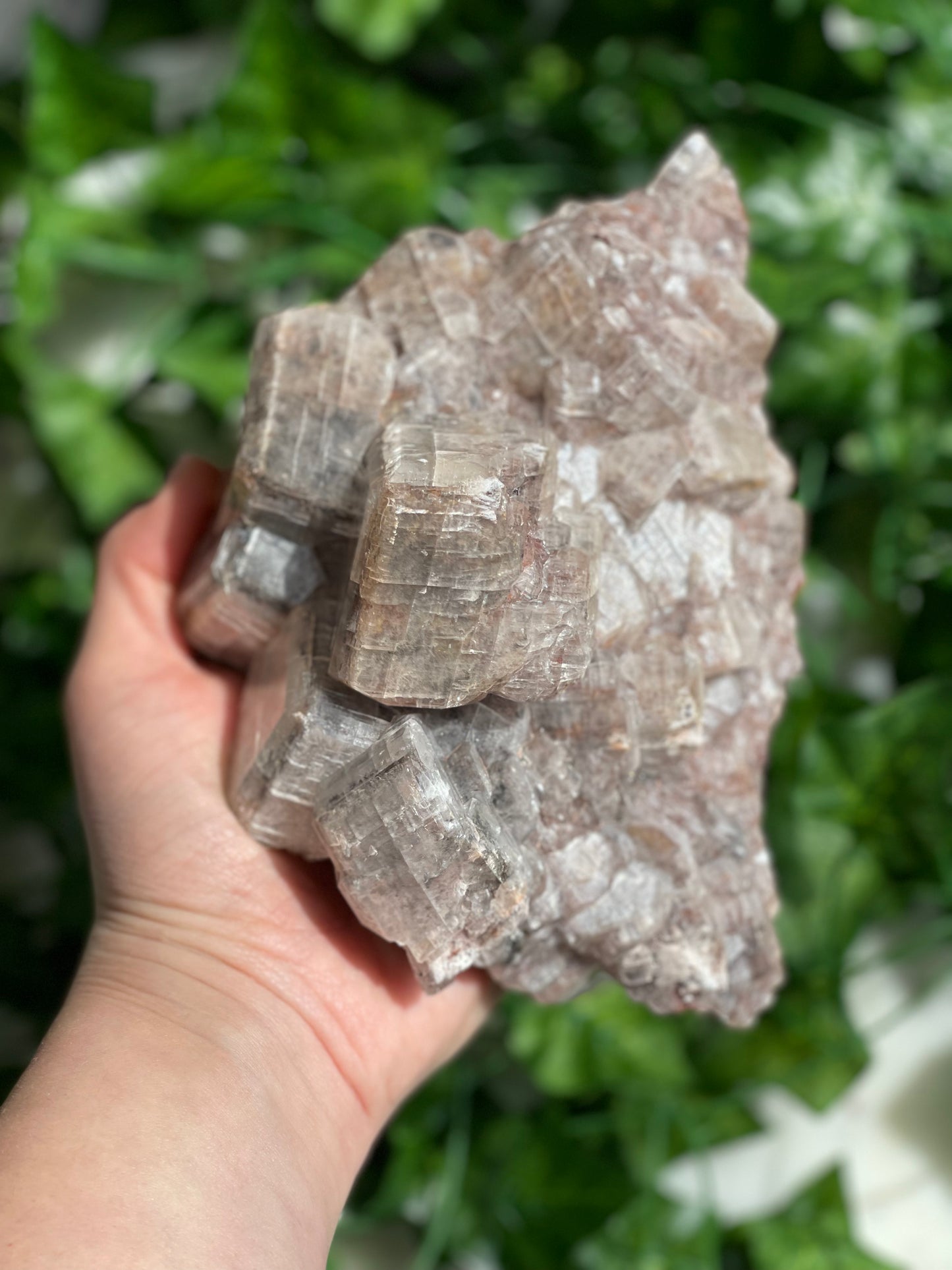 Chocolate Calcite Specimens