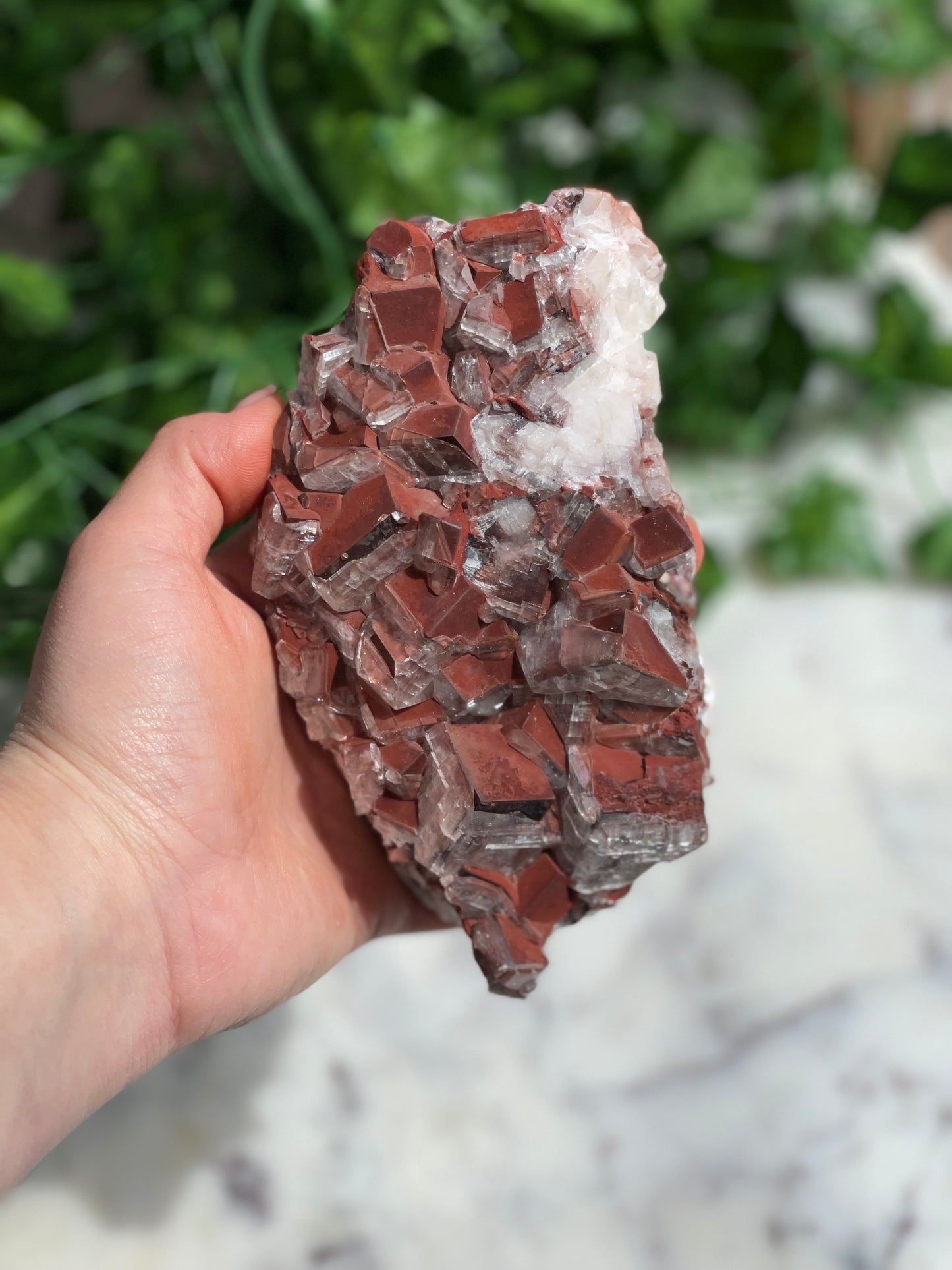 Chocolate Calcite Specimens