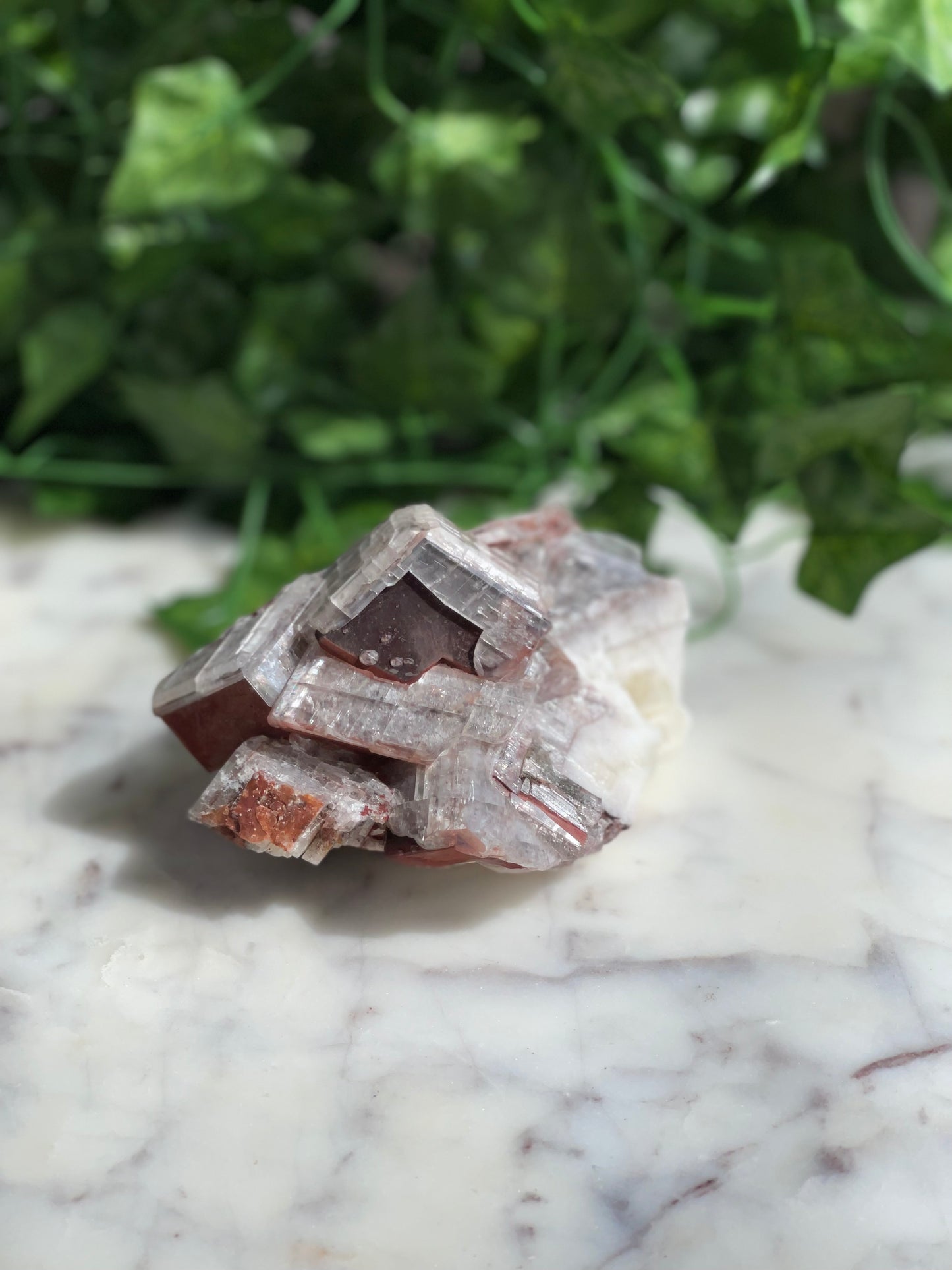 Chocolate Calcite Specimens