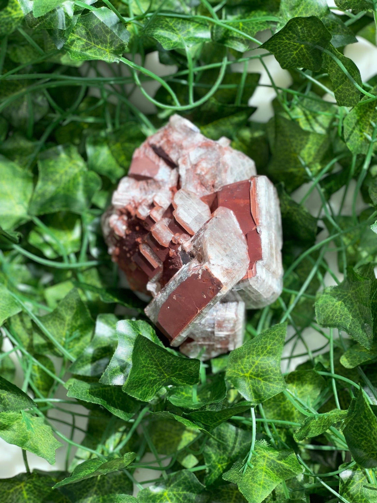 Chocolate Calcite Specimens