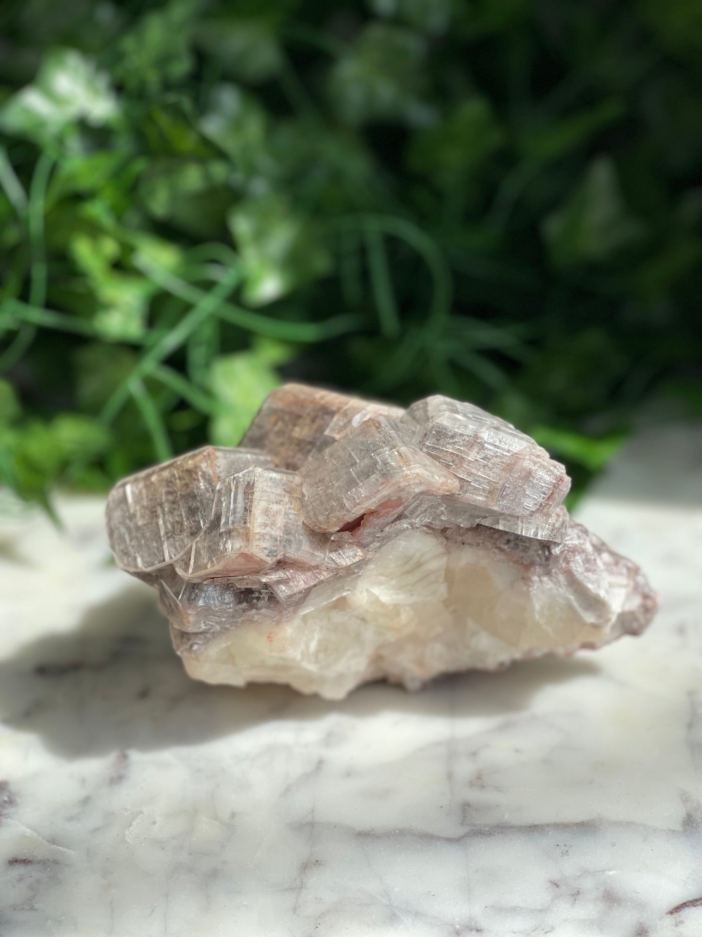 Chocolate Calcite Specimens