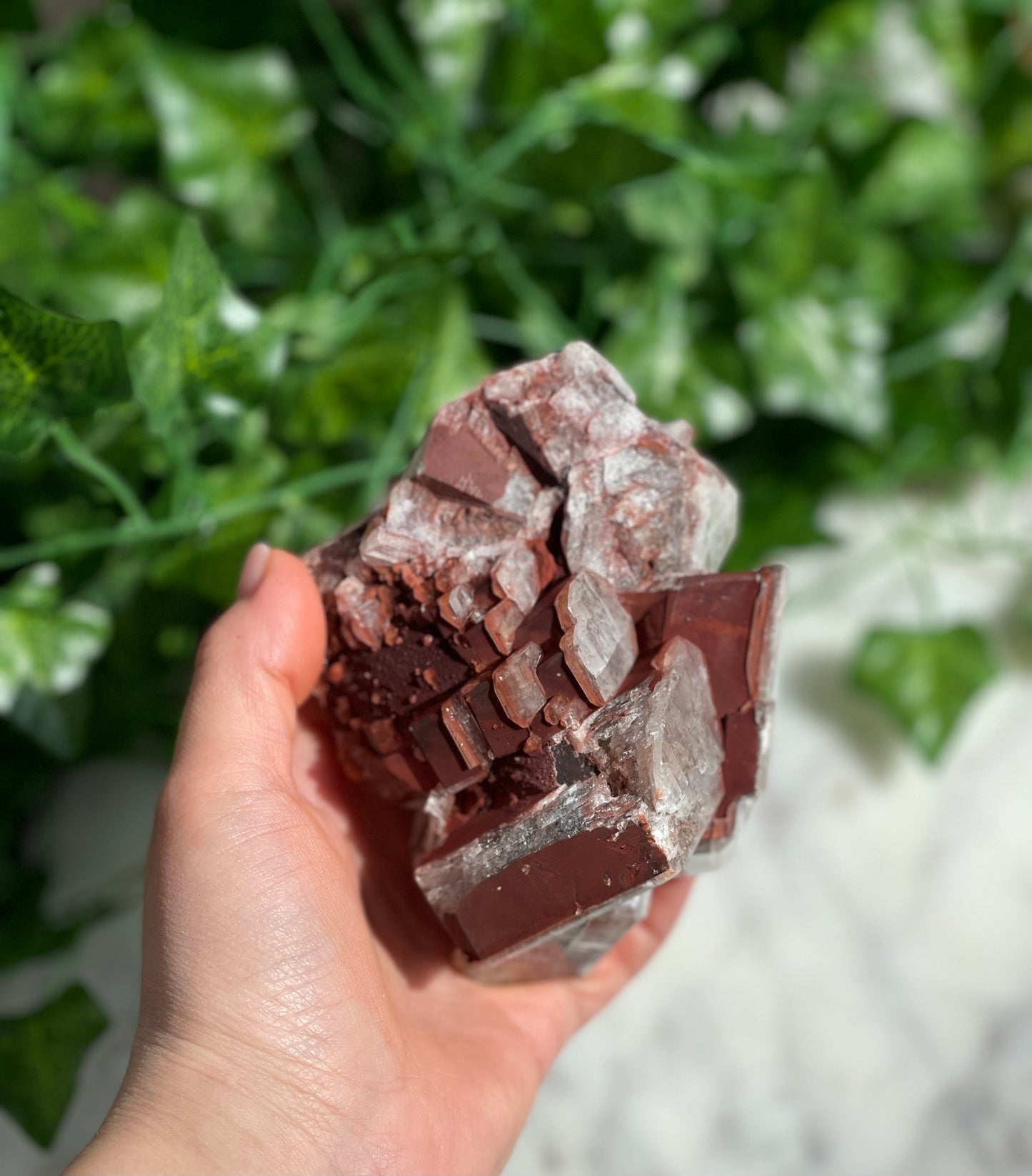 Chocolate Calcite Specimens