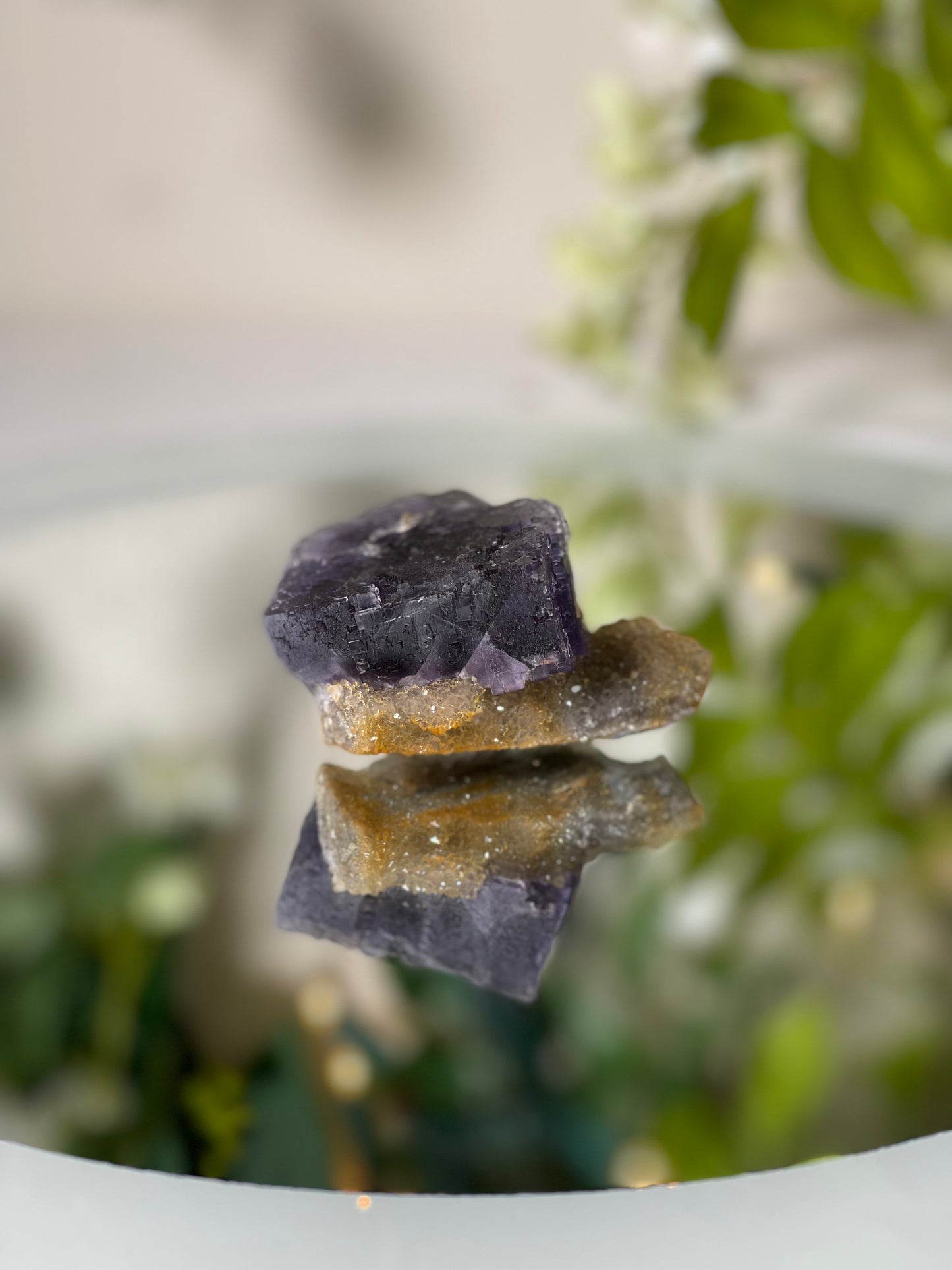 Fluorite Specimens from Illinois