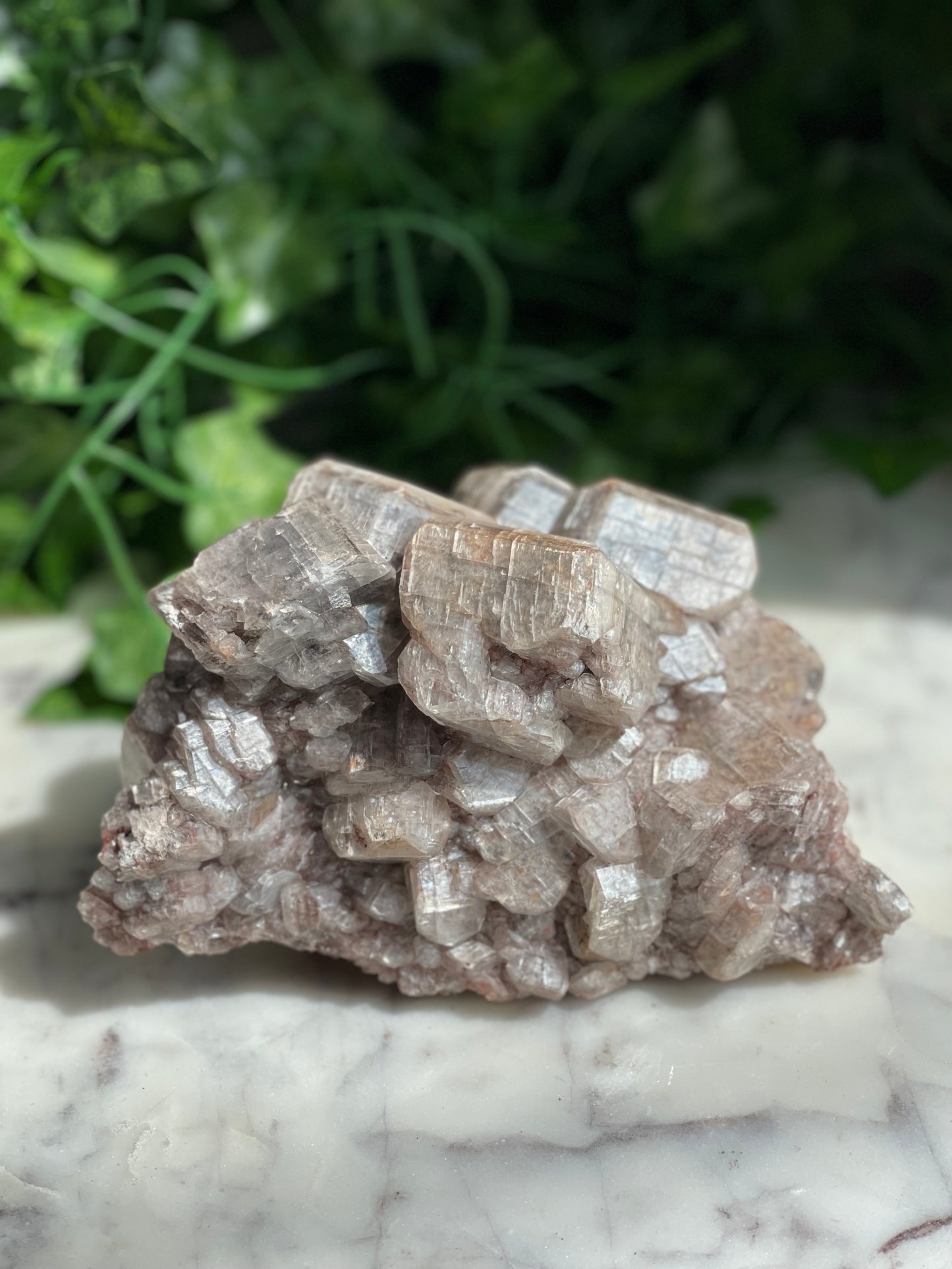 Chocolate Calcite Specimens