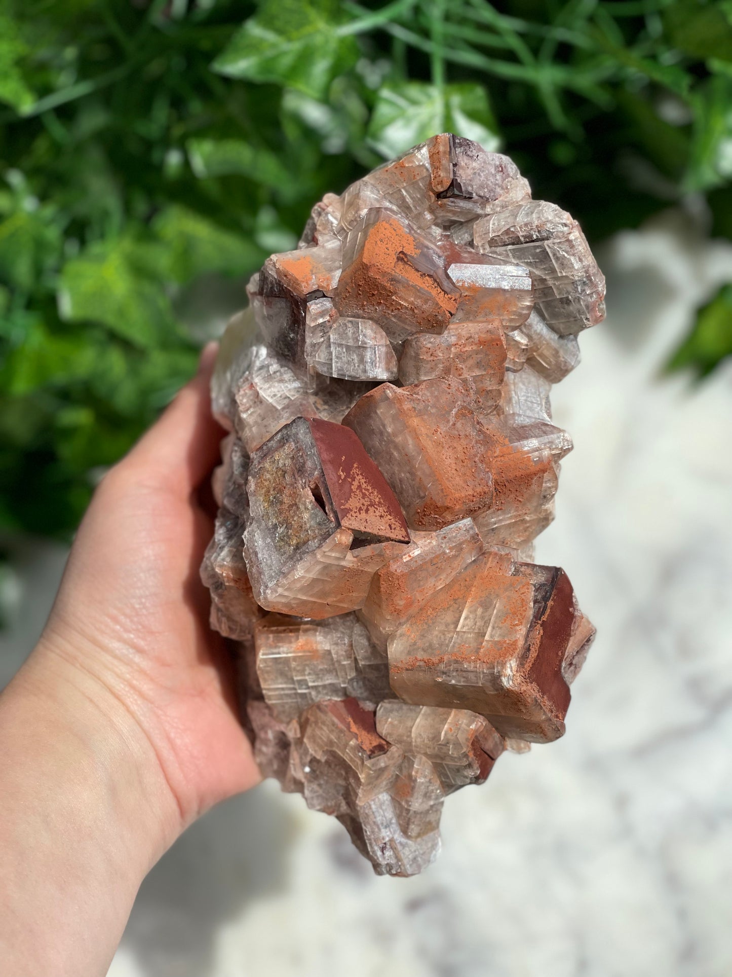 Chocolate Calcite Specimens