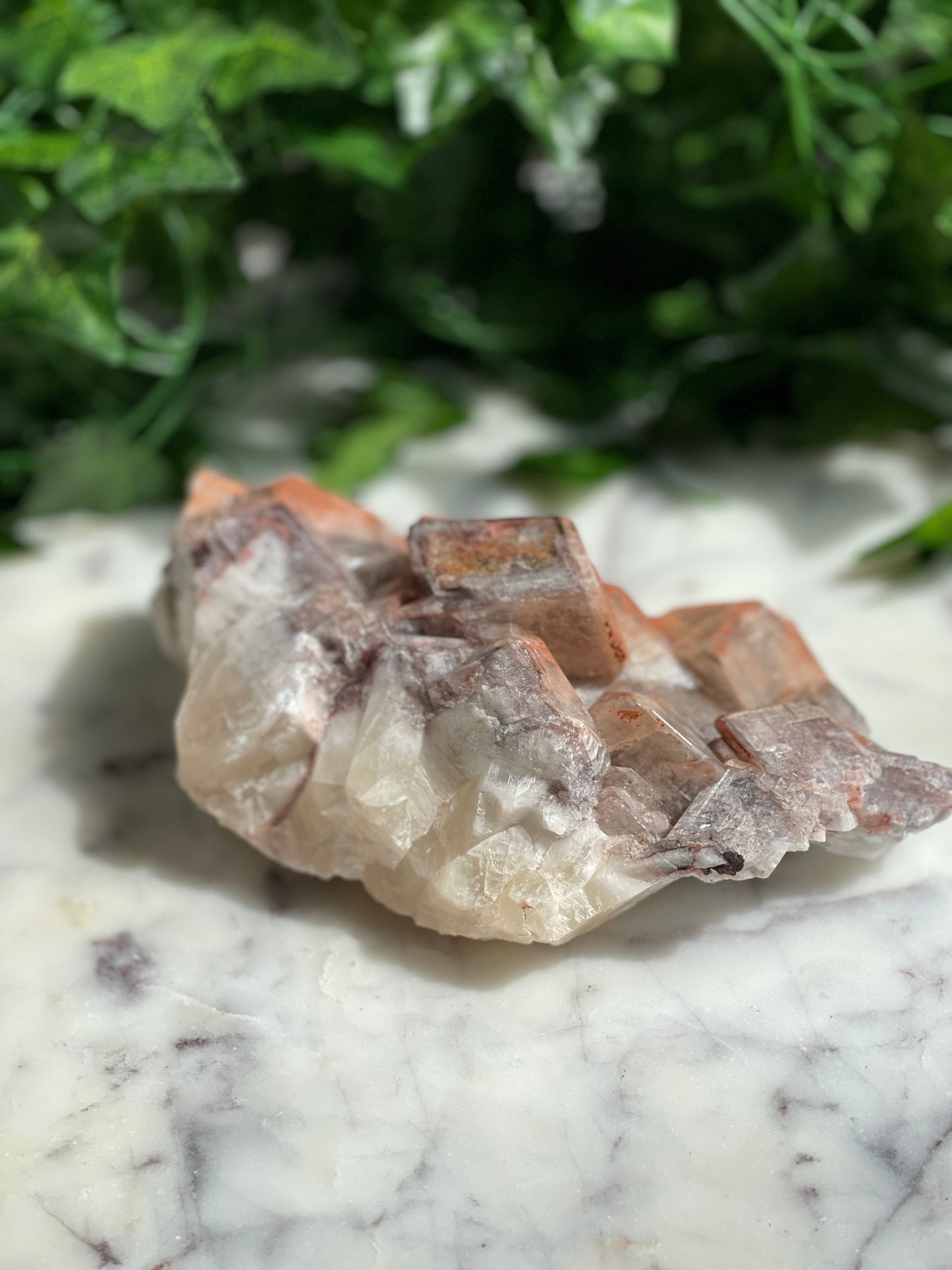 Chocolate Calcite Specimens