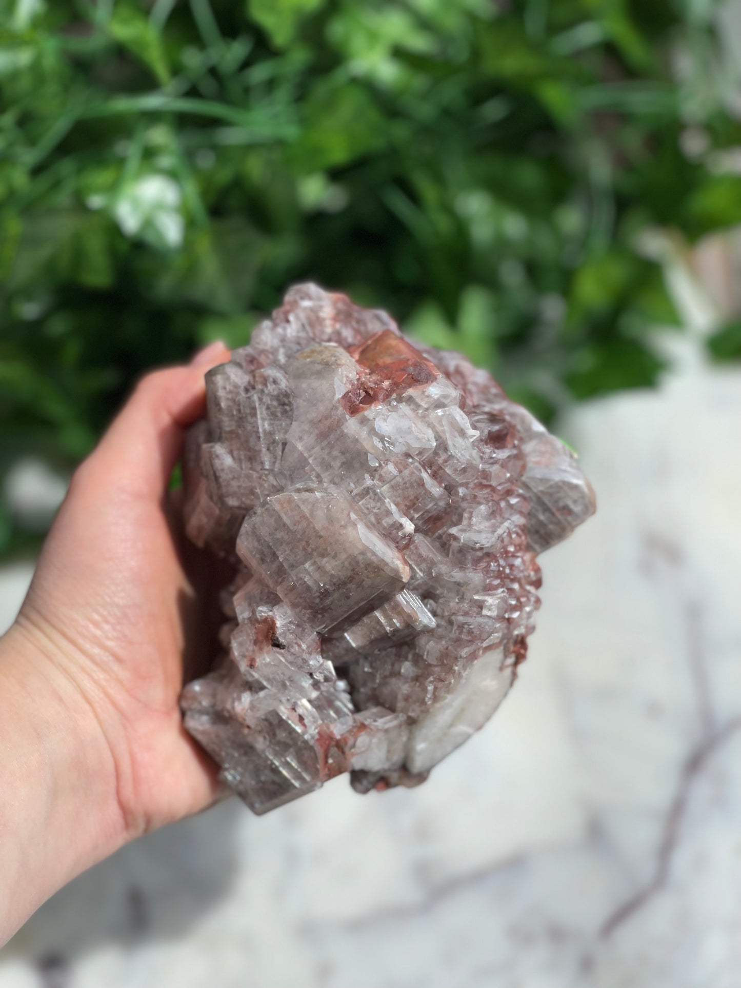 Chocolate Calcite Specimens