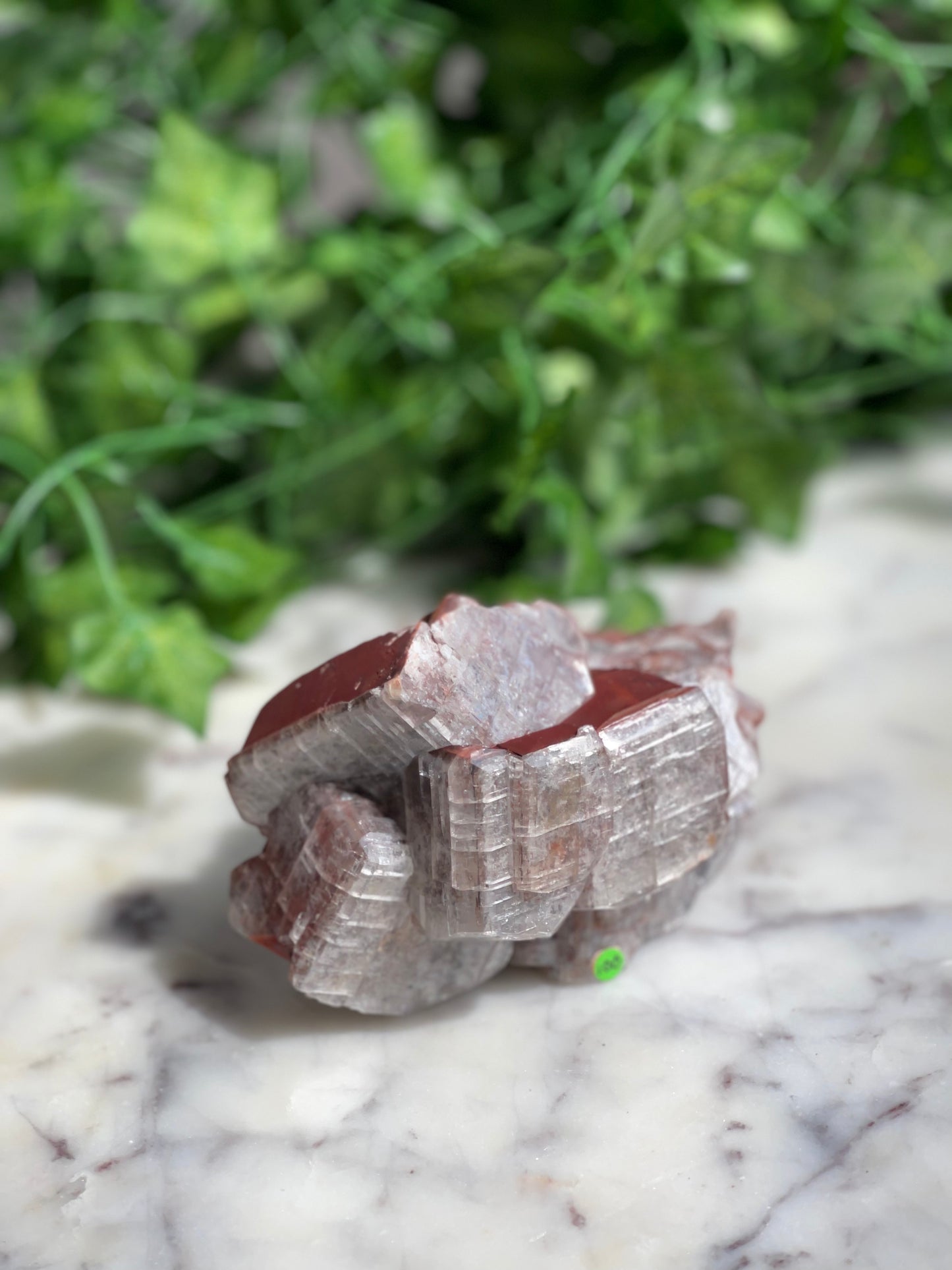 Chocolate Calcite Specimens