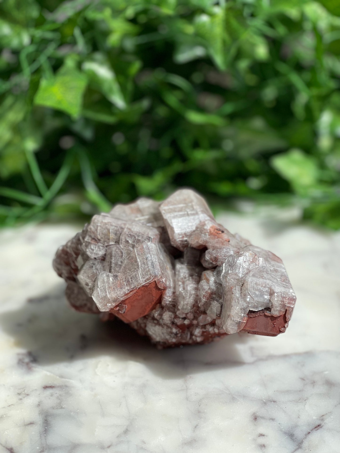 Chocolate Calcite Specimens